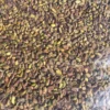 Iranian Pistachio